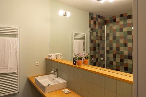 施库尔Chasa Fent, Sent Scuol im Engadin的一间带水槽和镜子的浴室