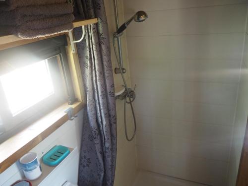EstevaisTiny house eco resort的带淋浴和浴帘的浴室