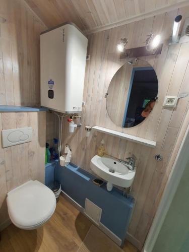 普罗旺斯艾克斯Adorable chalet avec jacuzzi privatif的一间带卫生间和水槽的小浴室