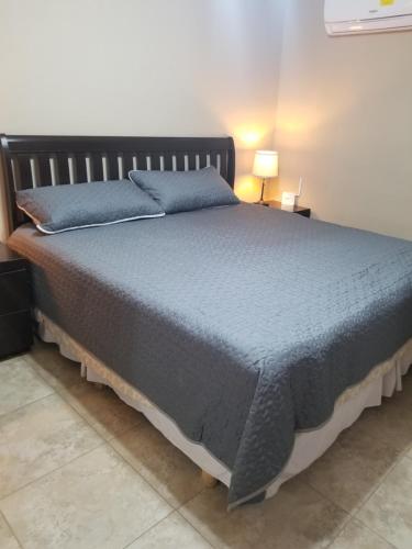 恩塞纳达港Cabañas Los Laureles Ruta del vino bc的一间卧室配有一张带蓝色毯子的大床