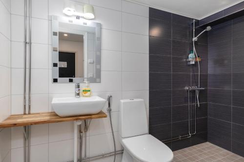 Raisio马汀霍维餐厅酒店的一间带水槽、卫生间和淋浴的浴室