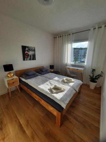 耶莱尼亚古拉Apartament Mazurek的一间卧室设有一张大床和一个窗户。