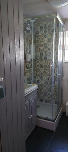 戈尔韦An Crann Glas的带淋浴和盥洗盆的浴室