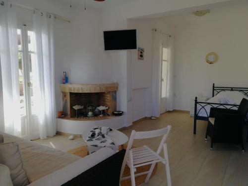 圣乔治亚海滩Gio st Gio apartment 2 Antiparos st Giorgio的带沙发和壁炉的客厅