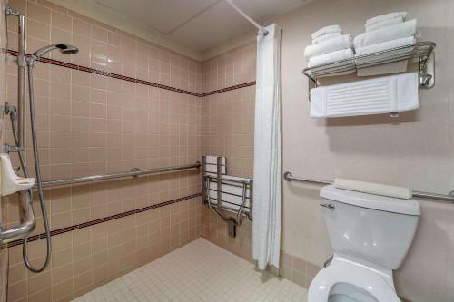 尤里卡洪堡湾舒适酒店 - 尤里卡的一间带卫生间、淋浴和毛巾的浴室