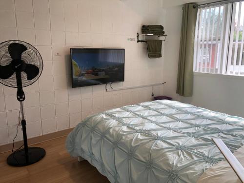 芝加哥Hyde Park Modern Private Room - Near Univ of Chicago的卧室配有一张床和壁挂式平面电视。