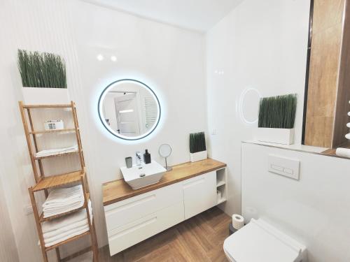 绿山城Apartament Silesia的一间带水槽和镜子的浴室