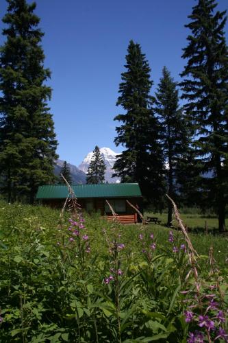 罗布森山旅馆 