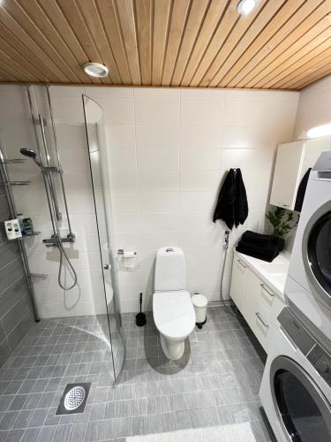 奥卢Upea 12 kerroksen kaksio ydinkeskustassa的浴室配有卫生间、淋浴和盥洗盆。