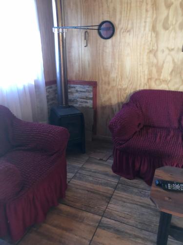 里坎雷Cabañas melinka的客厅配有两把椅子和炉灶