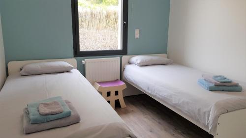 阿姆博斯La Chouette d'Amboise的带窗户的客房内设有两张单人床。