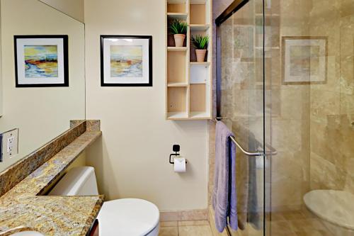 圣地亚哥Asbury Haven的带淋浴和卫生间的浴室