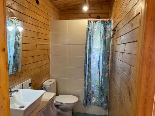 拉拉古纳Agradable Mini Casa de madera con jardín amplio的一间带卫生间和淋浴帘的浴室