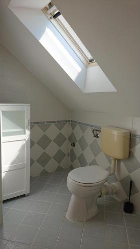 巴拉通马里亚弗都纳普苏格酒店的一间带卫生间和天窗的浴室
