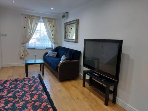 克罗伊登Apartment & Rooms in London的客厅配有蓝色的沙发和平面电视。