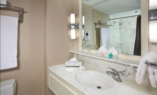 西雅图西雅图瓦尔维克酒店的一间带水槽和镜子的浴室