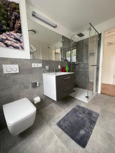卡劳特格瑞斯赫Neues Ferienhaus的浴室配有卫生间、盥洗盆和淋浴。