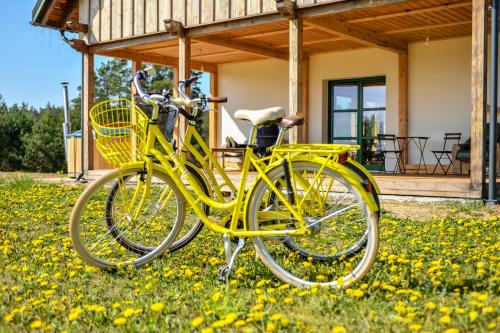 PosejneleAgroturystyka OLZOJA的停在房子前面的草上的一个黄色自行车
