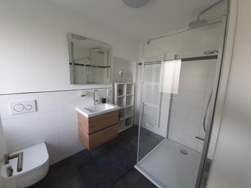 蒙绍Eifel-Oase Monschau的带淋浴、卫生间和盥洗盆的浴室