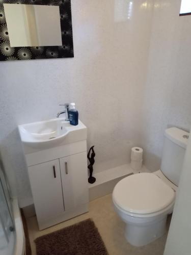 StarcrossViolet Mays Haven的浴室配有白色卫生间和盥洗盆。