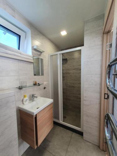 帕兰加S&S Apartments的一间带水槽和淋浴的浴室