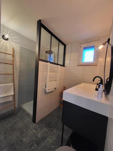 Taurignan-VieuxGîte PRAT NAOU - PYRENNEES ARIEGEOISES的一间带水槽和镜子的浴室