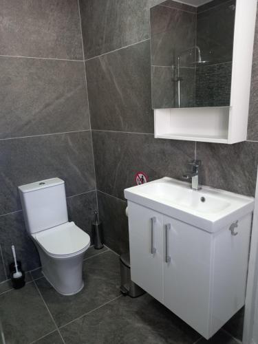 KornosAchilles Heel的一间带卫生间、水槽和镜子的浴室
