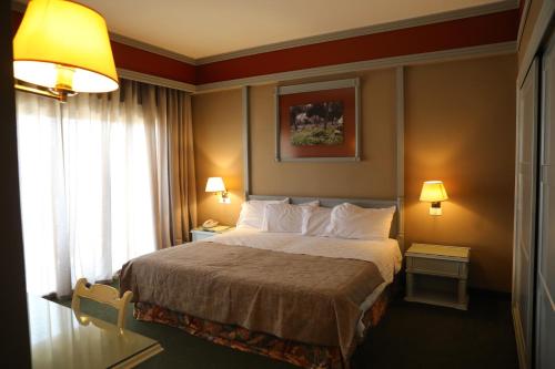 布罗马纳普林坦尼亚宫殿酒店的酒店客房设有床和窗户。