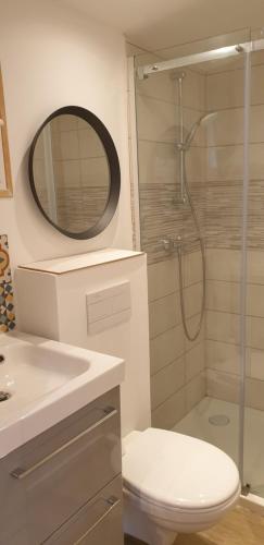 马赛Adorable studio 25m² très calme avec parking的带淋浴、卫生间和镜子的浴室