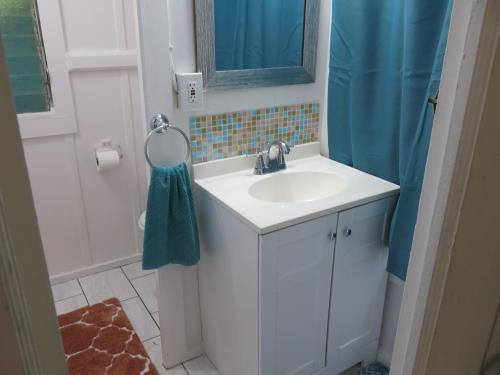 帕霍阿Pahoa Village Hostel的浴室设有白色水槽和镜子