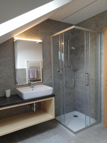 圣洛伦佐-迪塞巴托Stockerhof的一间带水槽和淋浴的浴室