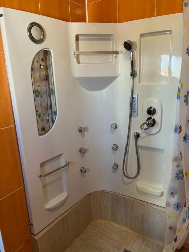 康斯坦察JACOB's VILLA的带淋浴和卫生间的浴室