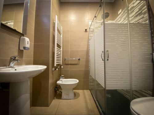 维罗纳阿勒娜酒店的一间带水槽、卫生间和淋浴的浴室