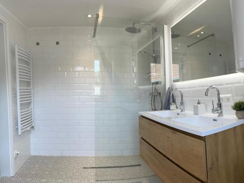 Frauental an der Lassnitz StylishHomes NEST - A Cosy Adventure的白色的浴室设有水槽和镜子