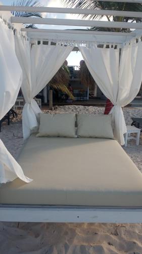 蓬塔卡纳Rolando share apart的海滩上的一张带白色天篷的床