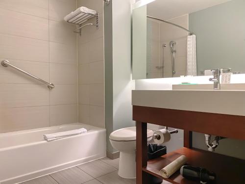 圣何塞圣何塞皮纳雷斯凯悦广场酒店的浴室配有卫生间、盥洗盆和浴缸。