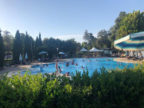 维亚雷焦Toskana, Viareggio,Chalet 27 mit Klimaanlage und Wlan的一群人在游泳池里