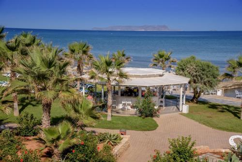 赫索尼索斯里特斯海滩旅馆的享有棕榈树和海洋度假村的空中景致