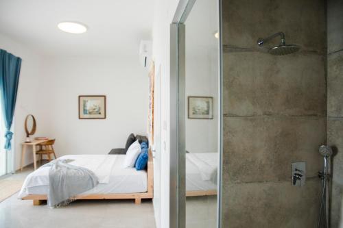 埃拉特Spa Eilat Mountain Lodge的一间卧室设有一张床和一个玻璃淋浴间