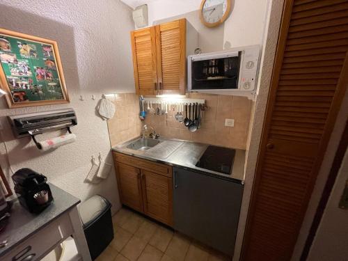 奥特朗Plénouze的一间带水槽和微波炉的小厨房