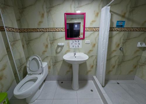 马尔多纳多港Libélula Hospedaje的一间带卫生间、水槽和镜子的浴室