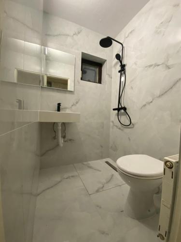 波利亚纳克卡蒂察比察尼茨酒店的白色的浴室设有卫生间和淋浴。