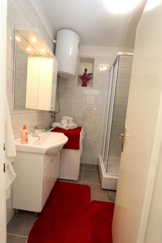 杜布罗夫尼克Apartment Mira Lapad的浴室设有白色水槽和红色地毯。