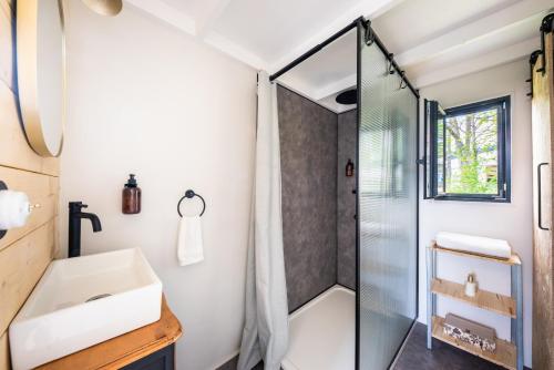 尚布利Tiny House Centre équestre - 35 mins de Paris的带淋浴和盥洗盆的浴室