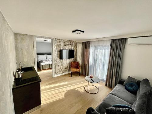 萨拉热窝Plaza Apartments的带沙发的客厅和卧室