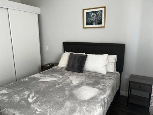 KoolbaaiSpacious 1 Bedroom Apartment, With pull out Couch的卧室配有一张床,墙上挂着一幅画