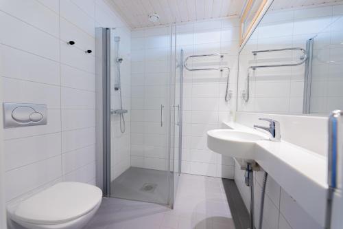 LohjaKisakallion Urheiluopisto, Lohja的带淋浴、卫生间和盥洗盆的浴室