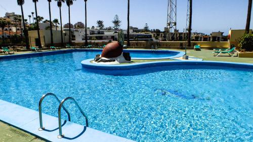 阿罗纳Harmony Apartments的大型游泳池,有一个人坐在水上浮动