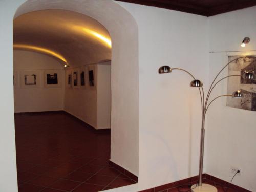 费雷拉杜阿连特茹贵族庄园度假酒店的相册照片