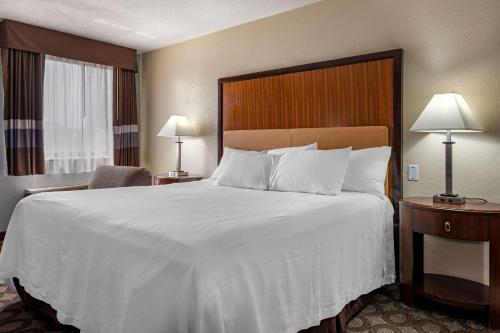 拉法叶Suburban Studios Lafayette的酒店客房设有一张大床和两盏灯。